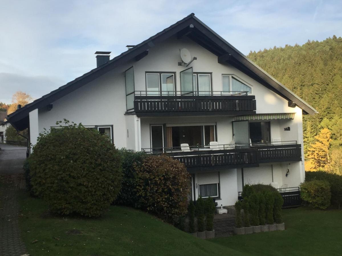 Ferienwohnungen Lang Willingen  Dış mekan fotoğraf